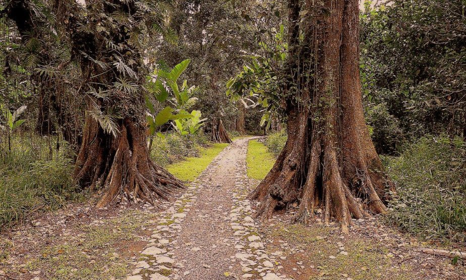 Los Naranjos Eco-Archaeological Park, Near Lake Yojoa, Honduras